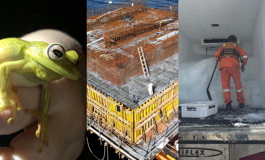 2 mil toneladas de aço, sapo raro e muito gelo na obra: as curiosidades da Ponte de Guaratuba