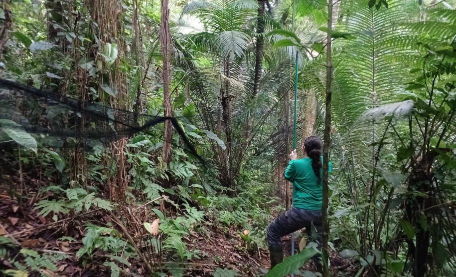 2 mil toneladas de aço, sapo raro e muito gelo na obra: as curiosidades da Ponte de Guaratuba
