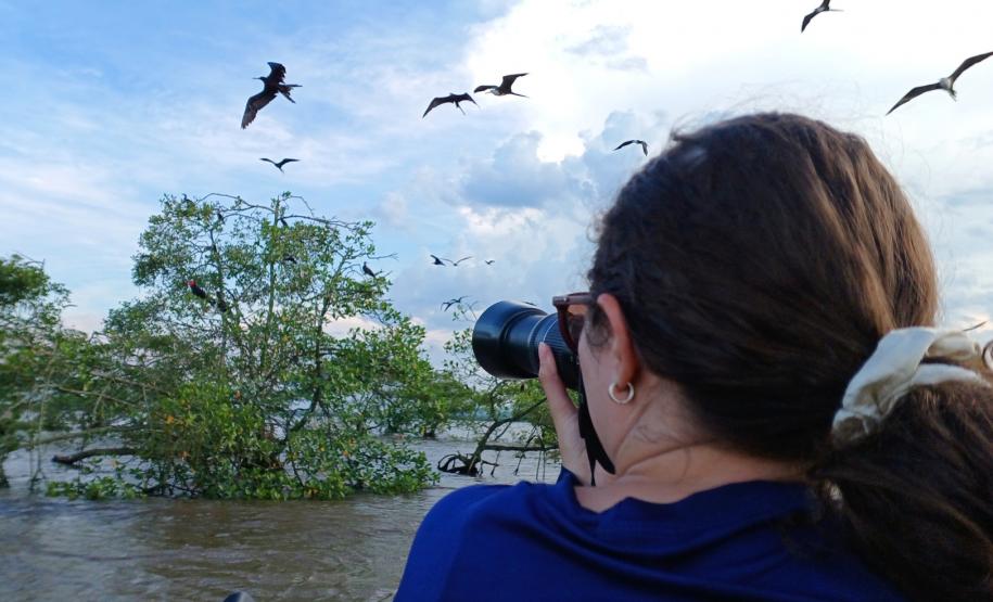 2 mil toneladas de aço, sapo raro e muito gelo na obra: as curiosidades da Ponte de Guaratuba