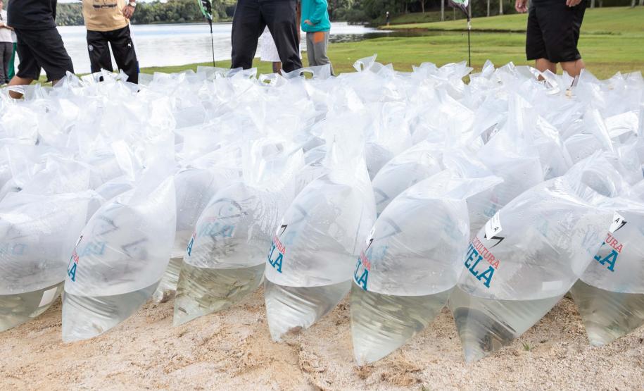 Curitiba, 20 de março de 2025 - O governador Carlos Massa Ratinho Junior participa da soltura de peixes no Parque Passauna, dentro do programa Rio Vivo. Foto: Roberto Dziura Jr/AEN