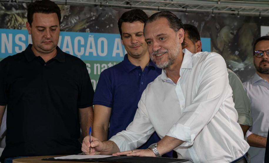 Curitiba, 20 de março de 2025 - O governador Carlos Massa Ratinho Junior participa da soltura de peixes no Parque Passauna, dentro do programa Rio Vivo. Foto: Roberto Dziura Jr/AEN