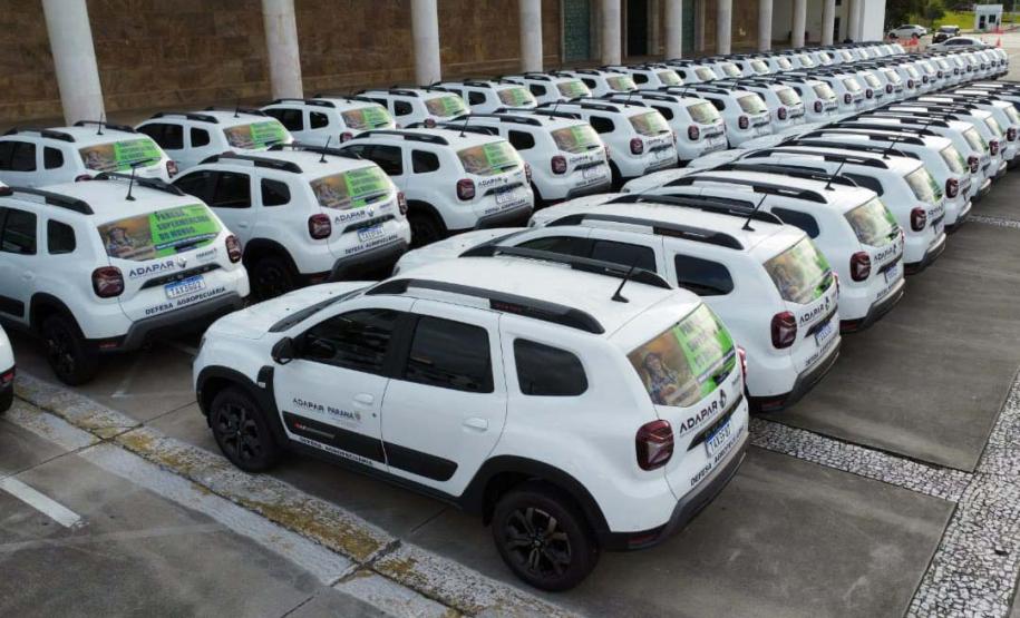 Foto: Alessandro Vieira/SESA