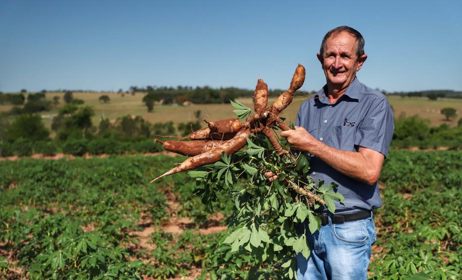 Comércio global: Paraná vendeu US$ 14,2 bilhões em alimentos e bebidas para 176 países em 2024