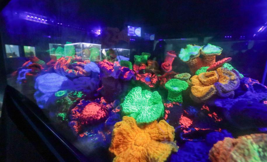 Confira as opções de lazer nos 28 complexos ambientais abertos no feriado de 1º de Maio