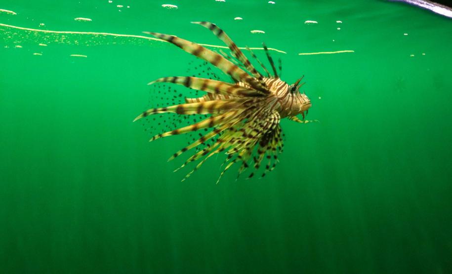 Confira as opções de lazer nos 28 complexos ambientais abertos no feriado de 1º de Maio