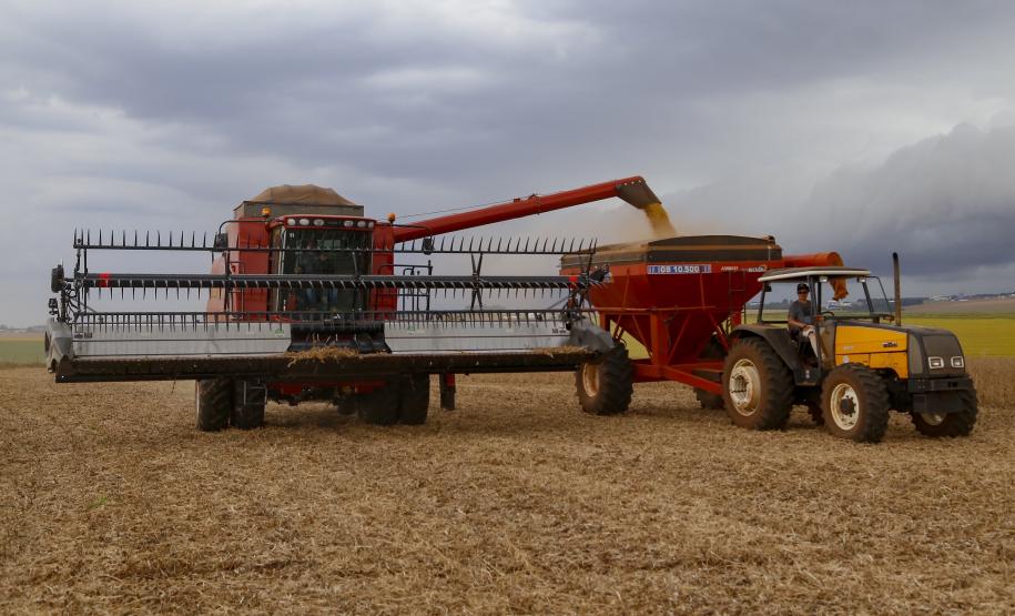 Supermercado do mundo: Paraná exporta mais alimentos que países como Japão, Portugal e Coreia do Sul