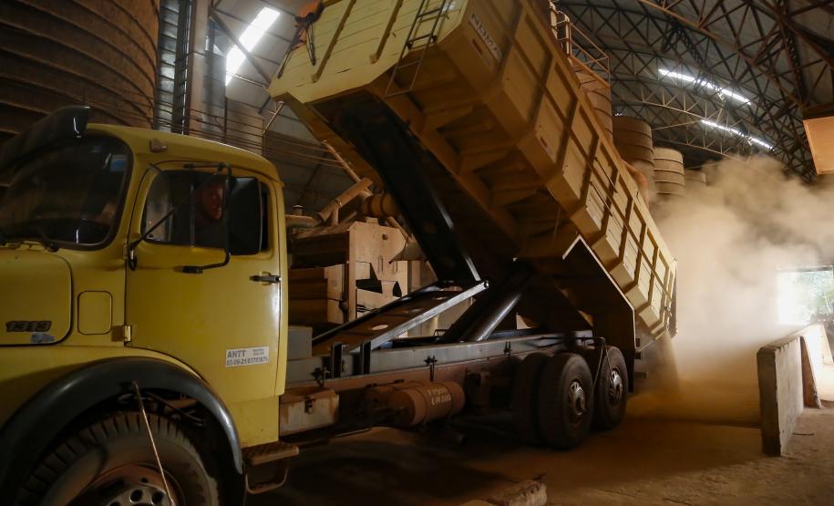 Supermercado do mundo: Paraná exporta mais alimentos que países como Japão, Portugal e Coreia do Sul