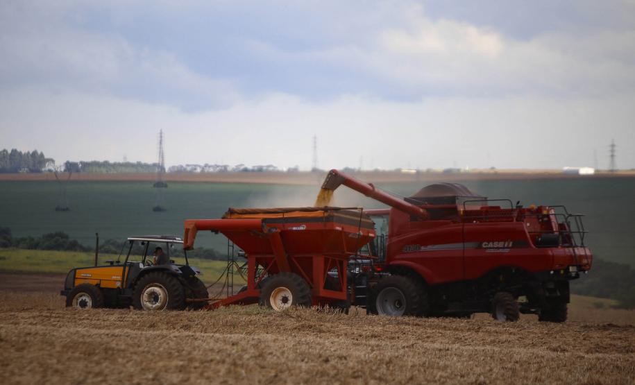 Supermercado do mundo: Paraná exporta mais alimentos que países como Japão, Portugal e Coreia do Sul