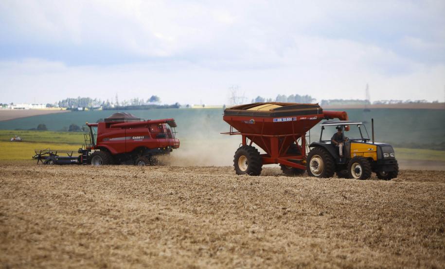 Supermercado do mundo: Paraná exporta mais alimentos que países como Japão, Portugal e Coreia do Sul