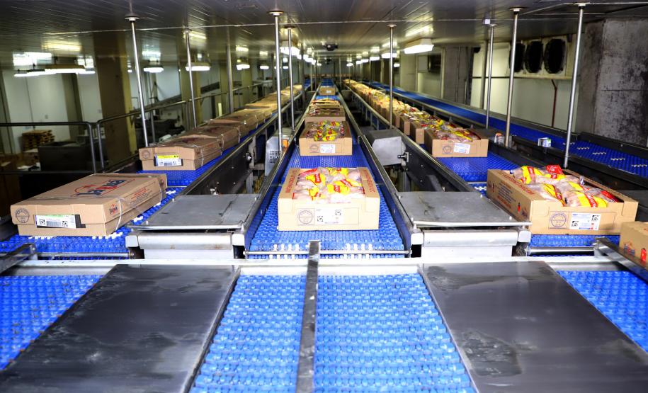 Supermercado do mundo: Paraná exporta mais alimentos que países como Japão, Portugal e Coreia do Sul