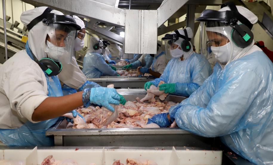 Supermercado do mundo: Paraná exporta mais alimentos que países como Japão, Portugal e Coreia do Sul