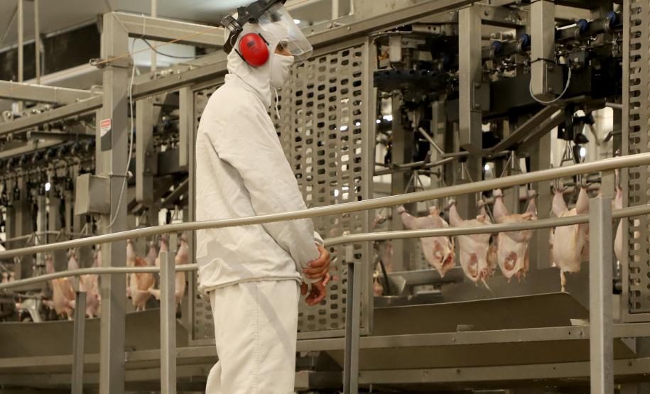 Supermercado do mundo: Paraná exporta mais alimentos que países como Japão, Portugal e Coreia do Sul