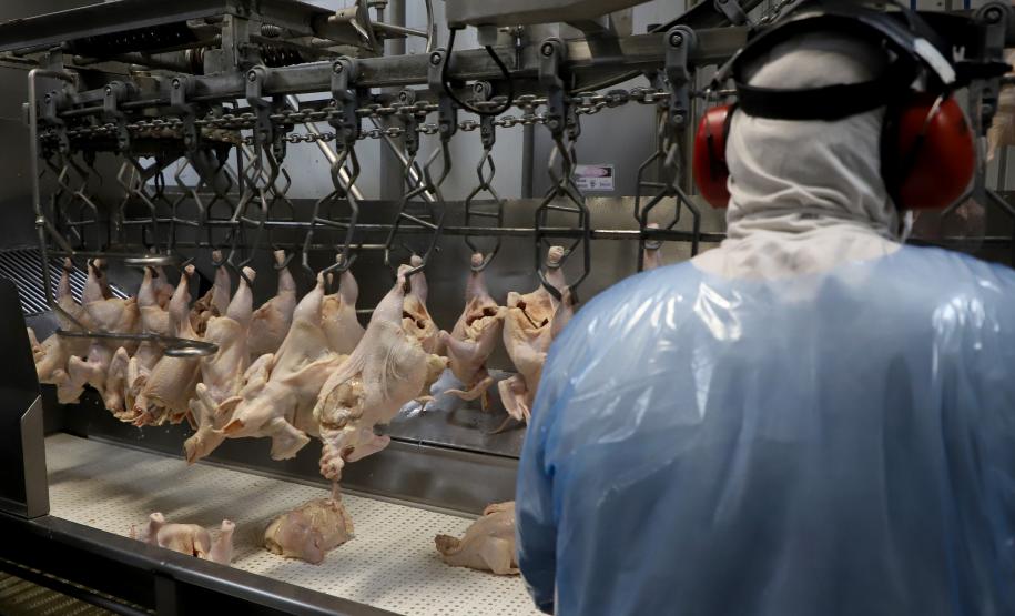 Supermercado do mundo: Paraná exporta mais alimentos que países como Japão, Portugal e Coreia do Sul