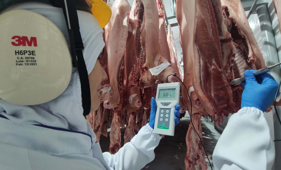 Supermercado do mundo: Paraná exporta mais alimentos que países como Japão, Portugal e Coreia do Sul