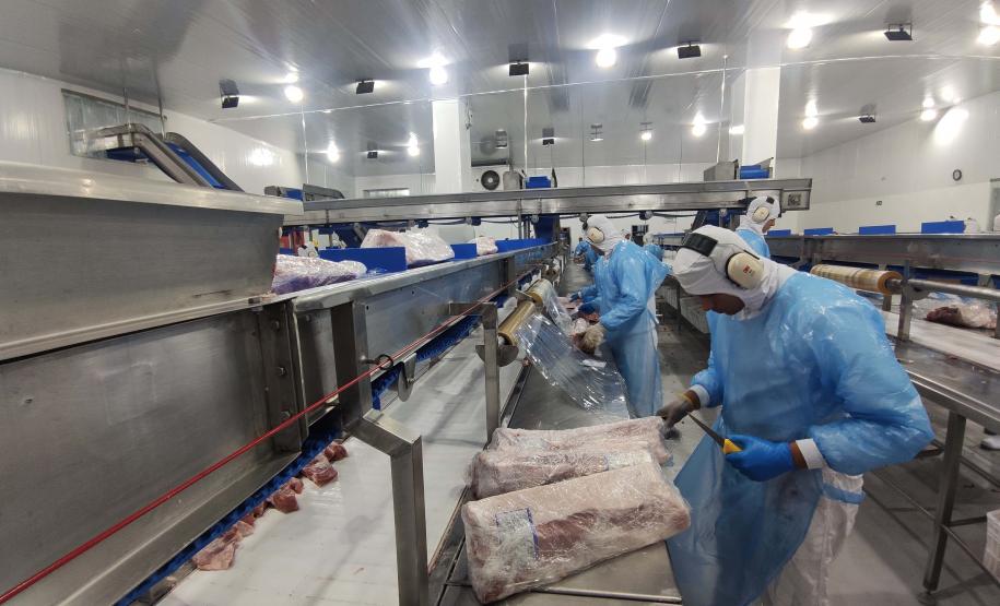 Supermercado do mundo: Paraná exporta mais alimentos que países como Japão, Portugal e Coreia do Sul