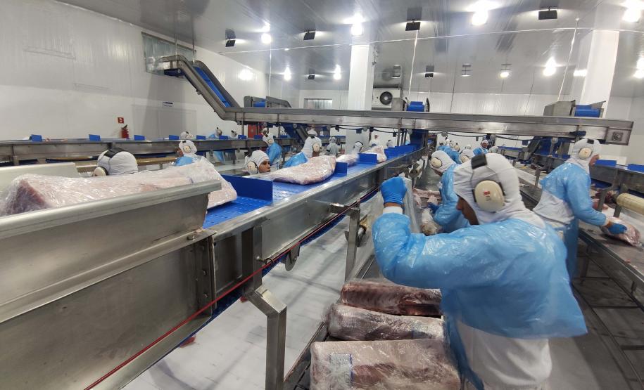 Supermercado do mundo: Paraná exporta mais alimentos que países como Japão, Portugal e Coreia do Sul