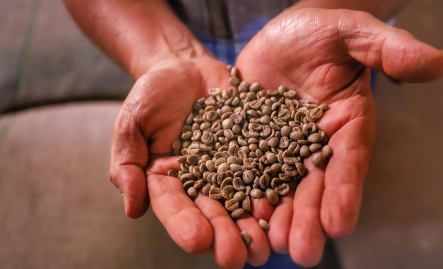 Comércio global: Paraná vendeu US$ 14,2 bilhões em alimentos e bebidas para 176 países em 2024