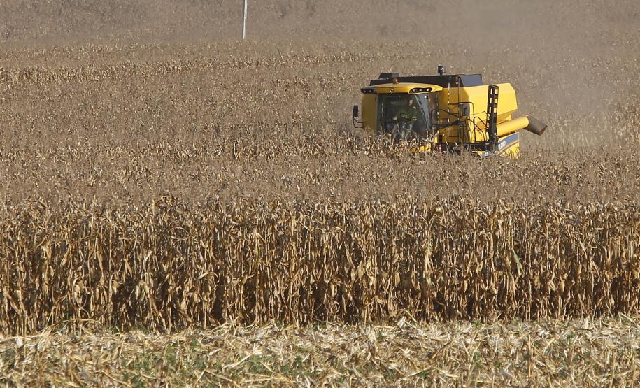 Supermercado do mundo: Paraná exporta mais alimentos que países como Japão, Portugal e Coreia do Sul