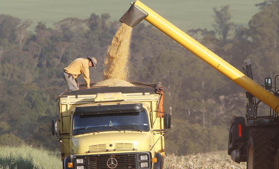 Supermercado do mundo: Paraná exporta mais alimentos que países como Japão, Portugal e Coreia do Sul