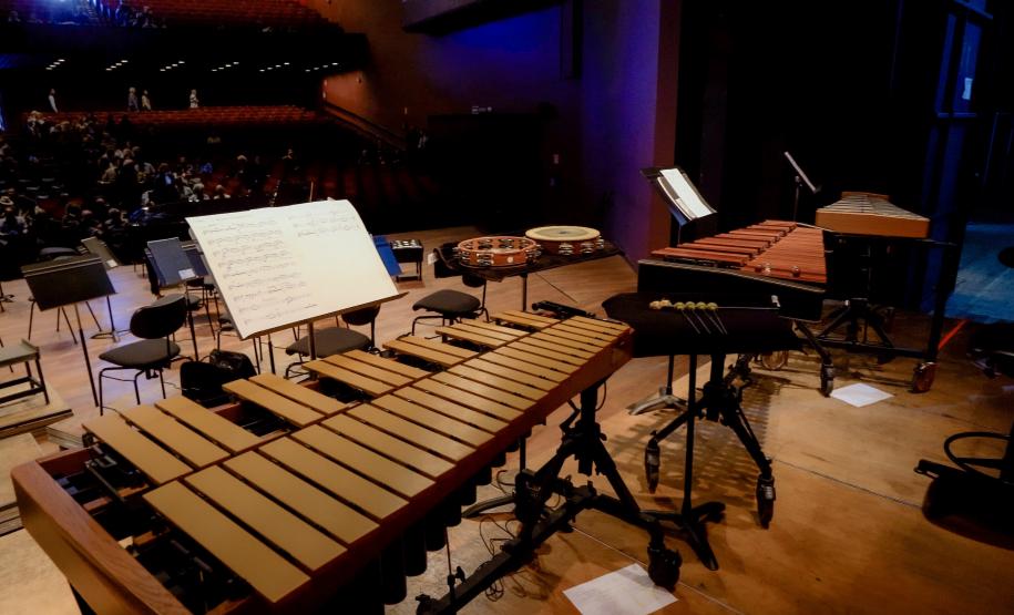 Famílias, movimentos, disposição no palco: confira como funciona uma orquestra sinfônica Foto: Arnaldo Neto/AEN