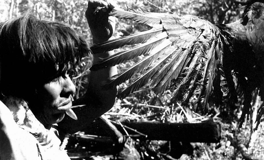 Foto: Vladimir Kozak