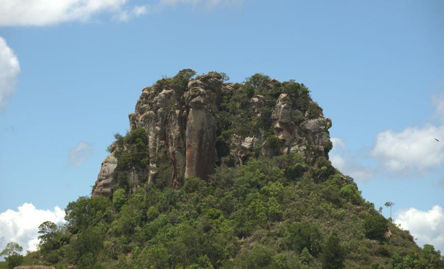 Dia da Mata Atlântica: 71% dos municípios do Paraná tiveram desmatamento zero em 2024