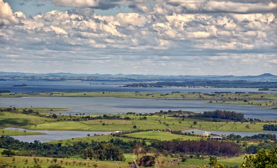 Dia da Mata Atlântica: 71% dos municípios do Paraná tiveram desmatamento zero em 2024