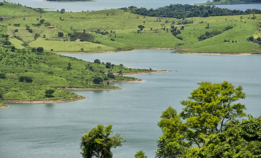 Dia da Mata Atlântica: 71% dos municípios do Paraná tiveram desmatamento zero em 2024