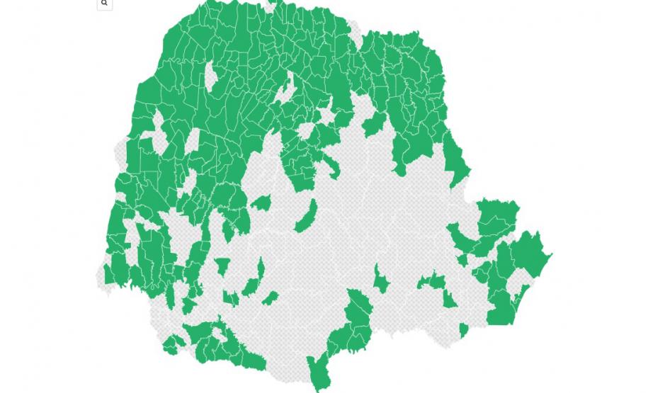 Dia da Mata Atlântica: 71% dos municípios do Paraná tiveram desmatamento zero em 2024