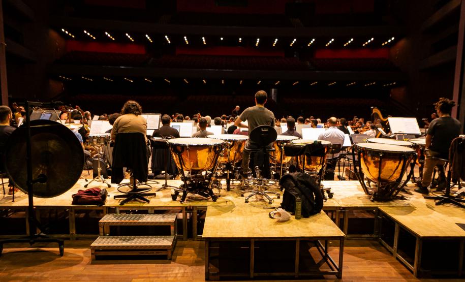 Famílias, movimentos, disposição no palco: confira como funciona uma orquestra sinfônica Foto: Roberto Dziura Jr/AEN