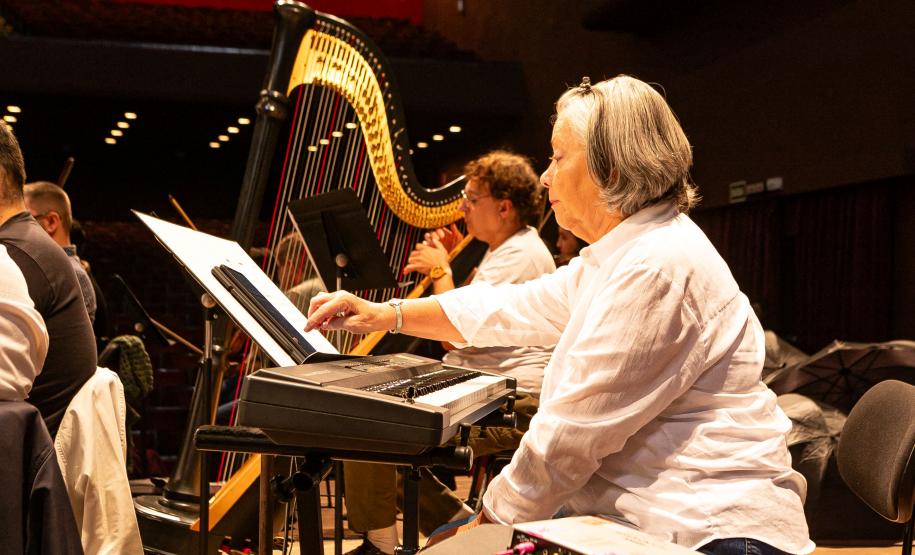 Famílias, movimentos, disposição no palco: confira como funciona uma orquestra sinfônica Foto: Roberto Dziura Jr/AEN