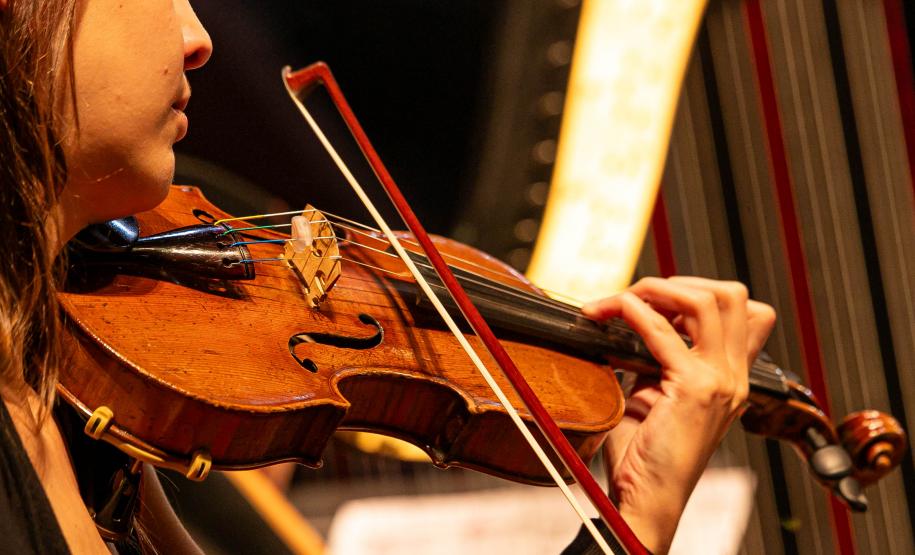 Famílias, movimentos, disposição no palco: confira como funciona uma orquestra sinfônica Foto: Roberto Dziura Jr/AEN