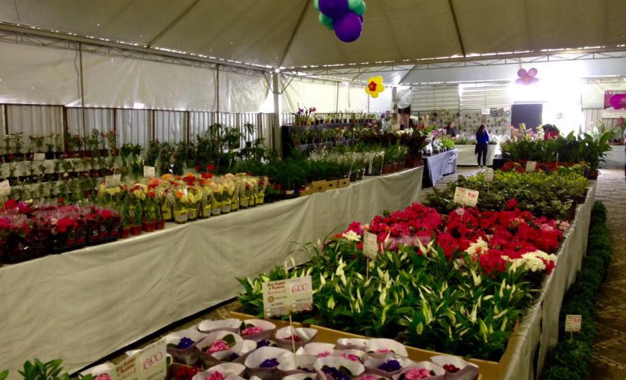 Atrações do frio: arraiás, festas da tainha e do feijão e tradições regionais movimentam o turismo