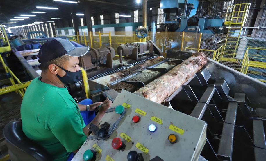 Mais de 300 cidades do Paraná registraram saldo positivo na geração de empregos em 2025