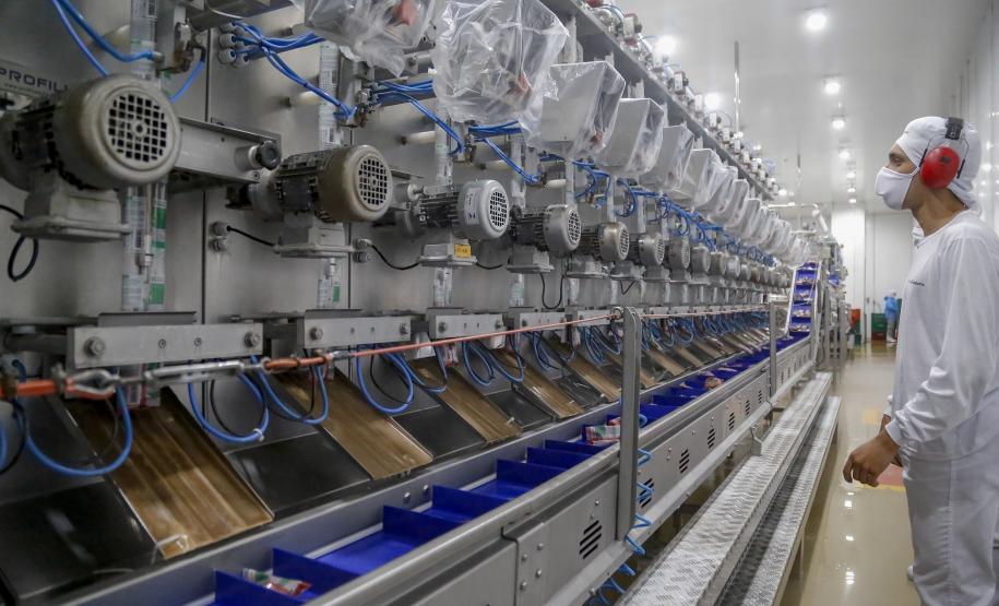 Mais de 300 cidades do Paraná registraram saldo positivo na geração de empregos em 2025