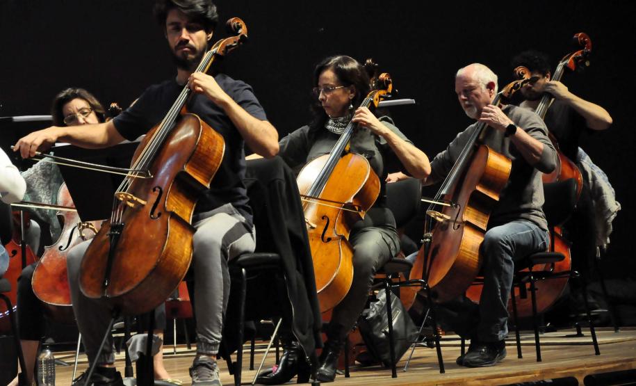Famílias, movimentos, disposição no palco: confira como funciona uma orquestra sinfônica Foto: Anderson Tozato/SEEC