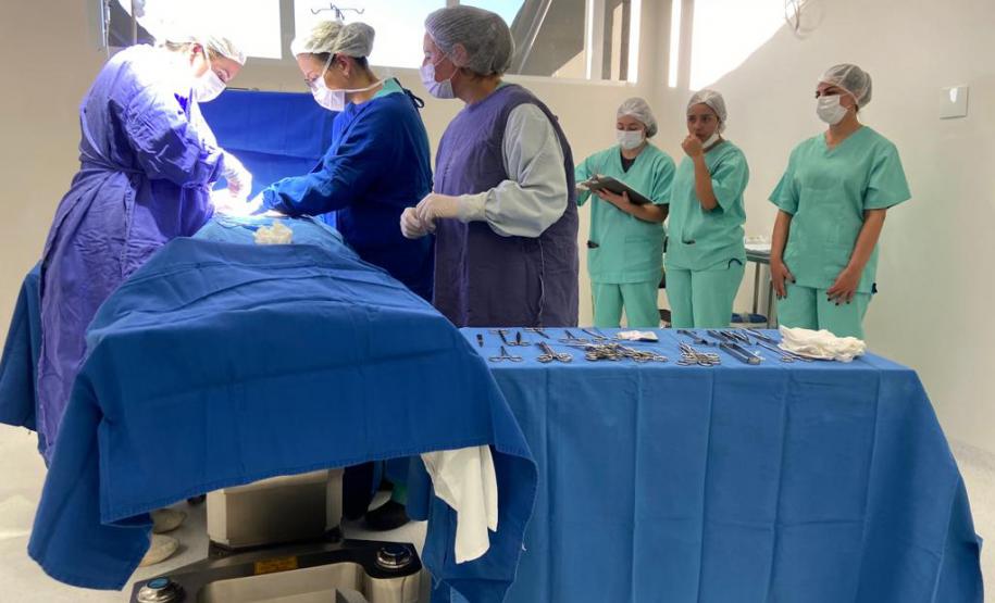 Com investimento bilionário, Paraná faz mais de 2 mil cirurgias eletivas por dia