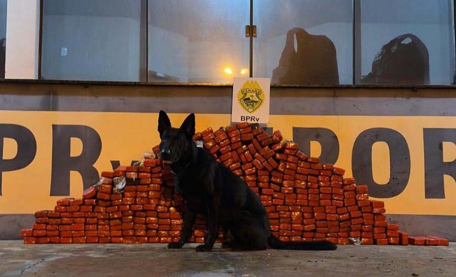 Com aumento de 155%, Paraná bate recorde de apreensão de drogas no 1º trimestre Foto: SESP