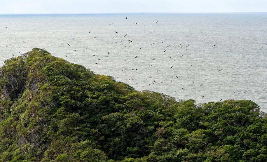 Recuperação de áreas verdes, combate ao desmatamento, cuidados com a água e a fauna e destinação correta dos resíduos sólidos: os indicadores que transformaram o Paraná em referência na proteção ao meio ambiente.