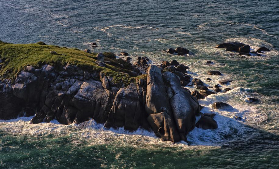 Recuperação de áreas verdes, combate ao desmatamento, cuidados com a água e a fauna e destinação correta dos resíduos sólidos: os indicadores que transformaram o Paraná em referência na proteção ao meio ambiente.