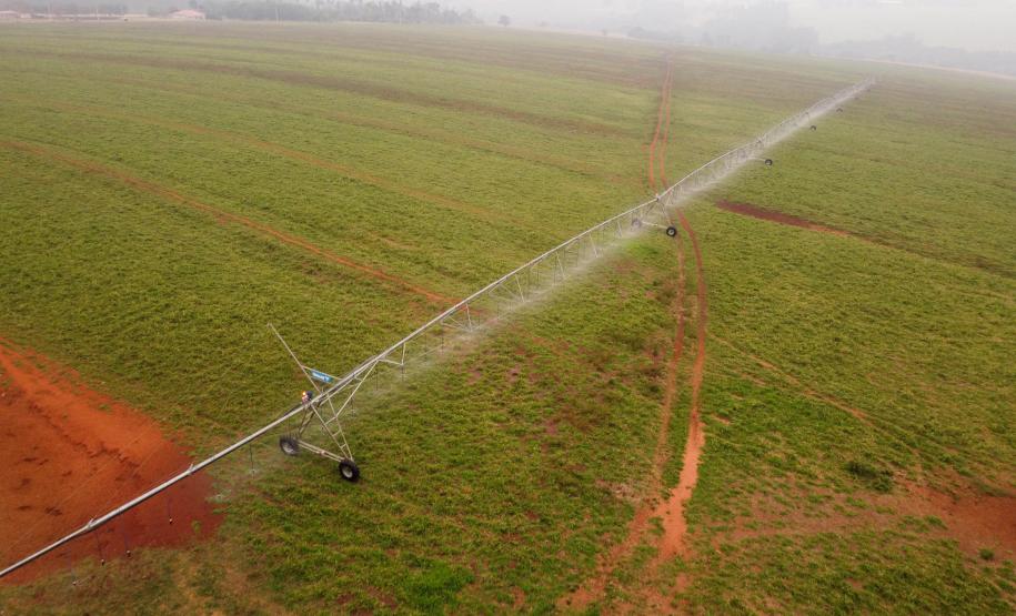 No Dia Mundial de Combate à Seca, Paraná reforça ações para garantir oferta de água