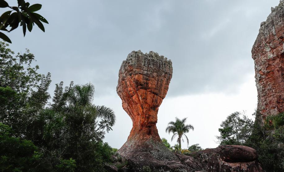 Ônibus, parques, farmácias: confira as mudanças nos horários no Corpus Christi