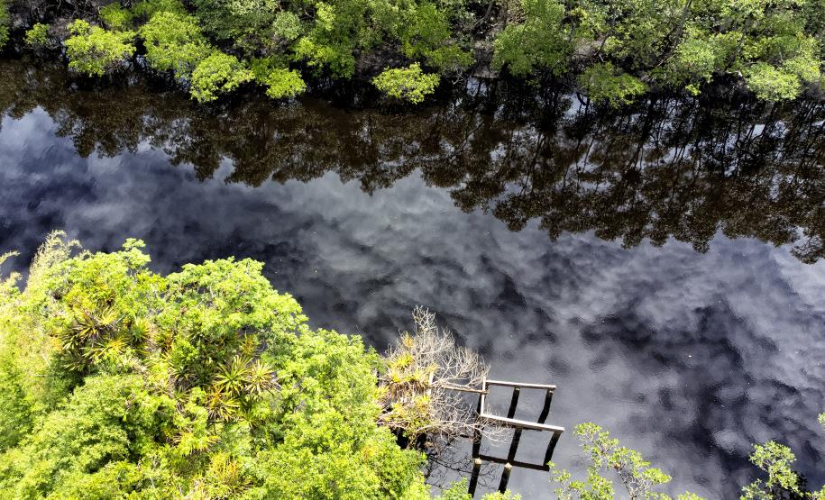 Recuperação de áreas verdes, combate ao desmatamento, cuidados com a água e a fauna e destinação correta dos resíduos sólidos: os indicadores que transformaram o Paraná em referência na proteção ao meio ambiente.