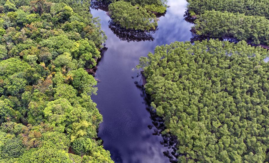 Recuperação de áreas verdes, combate ao desmatamento, cuidados com a água e a fauna e destinação correta dos resíduos sólidos: os indicadores que transformaram o Paraná em referência na proteção ao meio ambiente.