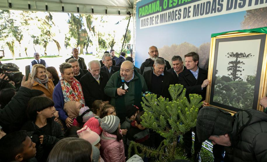Curitiba, 24 de junho de 2025 - O governador em exercício Darci Piana plantou, no Dia Nacional da Araucária, nos jardins do Palácio Iguaçu, uma muda clonada de uma Araucaria angustifolia com cerca de 700 anos. Foto: Roberto Dziura Jr/AEN