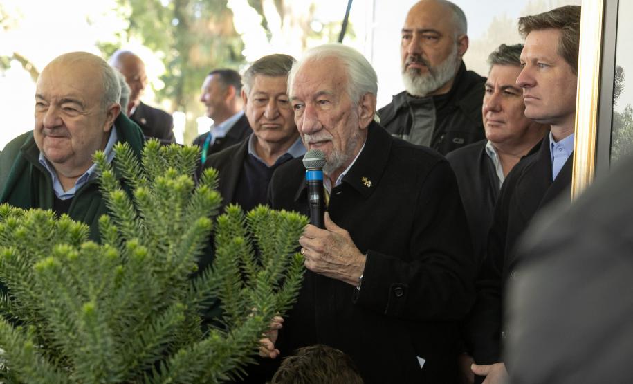 Curitiba, 24 de junho de 2025 - O governador em exercício Darci Piana plantou, no Dia Nacional da Araucária, nos jardins do Palácio Iguaçu, uma muda clonada de uma Araucaria angustifolia com cerca de 700 anos. Foto: Roberto Dziura Jr/AEN