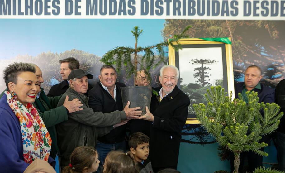 Curitiba, 24 de junho de 2025 - O governador em exercício Darci Piana plantou, no Dia Nacional da Araucária, nos jardins do Palácio Iguaçu, uma muda clonada de uma Araucaria angustifolia com cerca de 700 anos. Foto: Roberto Dziura Jr/AEN