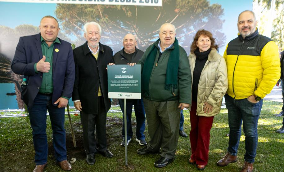 Curitiba, 24 de junho de 2025 - O governador em exercício Darci Piana plantou, no Dia Nacional da Araucária, nos jardins do Palácio Iguaçu, uma muda clonada de uma Araucaria angustifolia com cerca de 700 anos. Foto: Roberto Dziura Jr/AEN