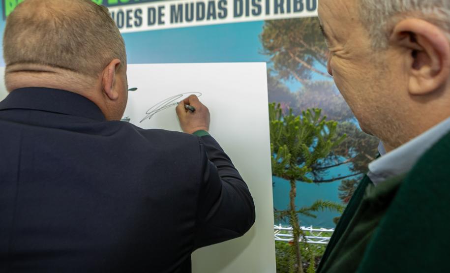 Curitiba, 24 de junho de 2025 - O governador em exercício Darci Piana plantou, no Dia Nacional da Araucária, nos jardins do Palácio Iguaçu, uma muda clonada de uma Araucaria angustifolia com cerca de 700 anos. Foto: Roberto Dziura Jr/AEN