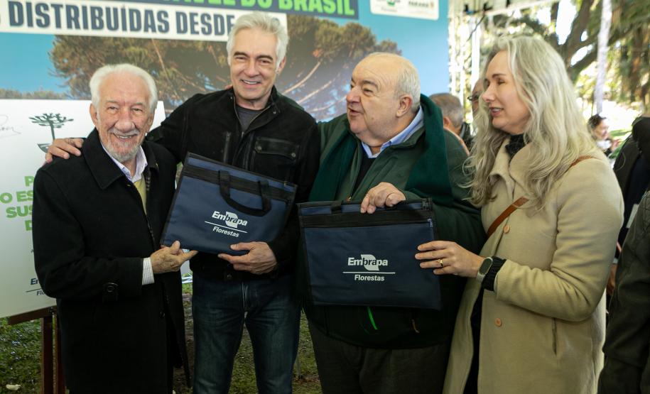 Curitiba, 24 de junho de 2025 - O governador em exercício Darci Piana plantou, no Dia Nacional da Araucária, nos jardins do Palácio Iguaçu, uma muda clonada de uma Araucaria angustifolia com cerca de 700 anos. Foto: Roberto Dziura Jr/AEN
